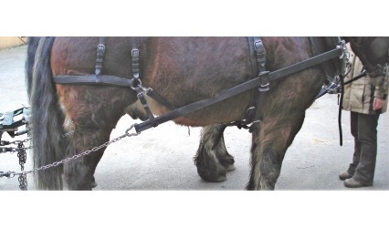 Trait américain cuir noir