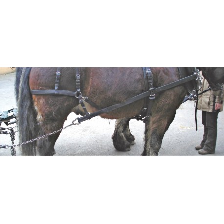 Trait américain cuir noir