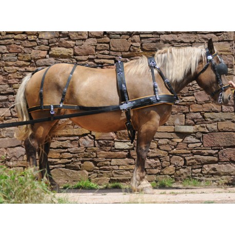 Harnais marathon saumur nylon a1