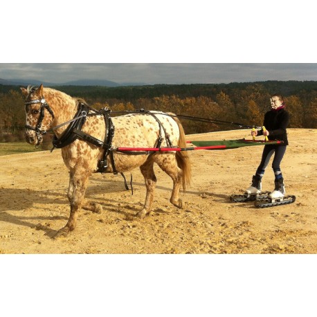 Kit d'adaptation pour ski joering
