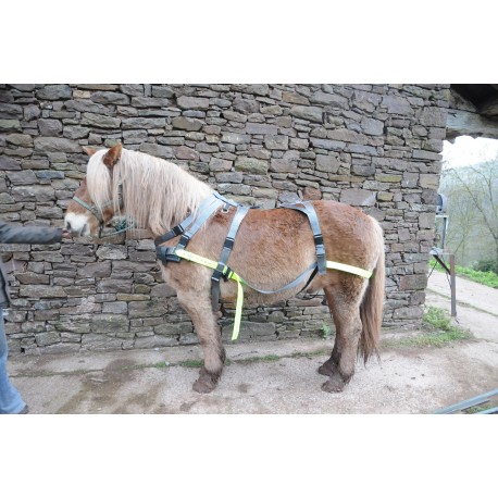 Harnais de ski joering avec cadre