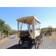 WAGONNETTE 10 PLACES BACHEE