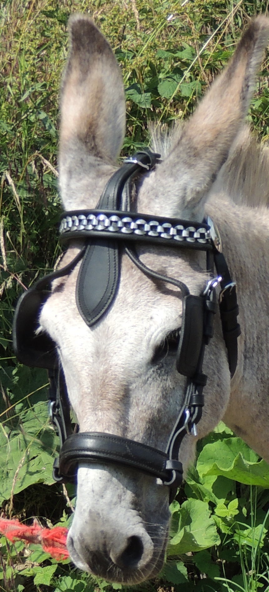 Ensemble de collier de poitrine pour poney de style western 25,4 cm, 30,5 cm, 33 cm Ensemble de collier de poitrine pour poney de style western 25,4 cm, 30,5 cm, 33 cm