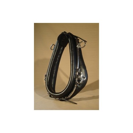 Attelle de présentation coach hames