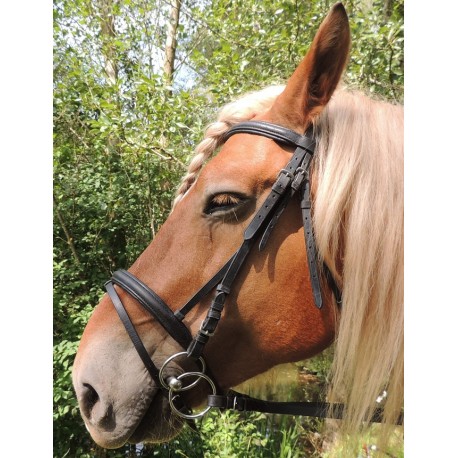 Cob, Marron: Dressage bride en cuir Nadège complet avec rênes doubles