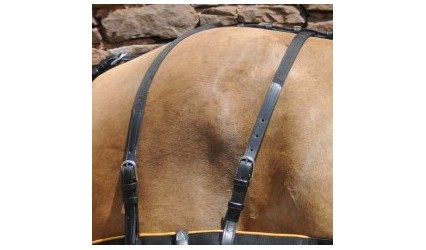 Barre de fesse cuir et nylon