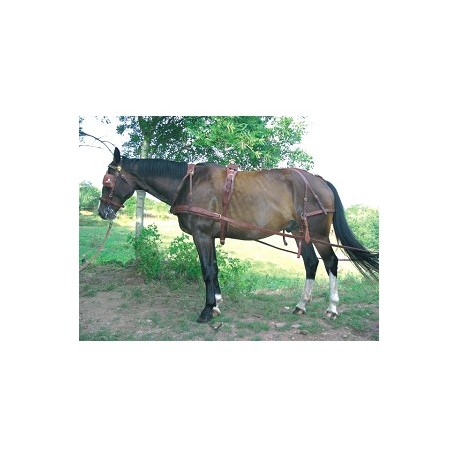 Harnais grand chemin