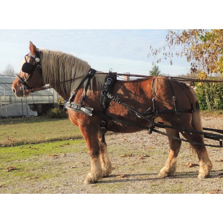 Harnais marathon classic