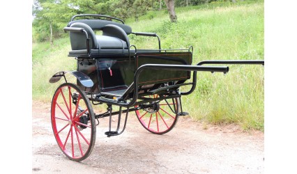 Voiture 2 roues - Gig