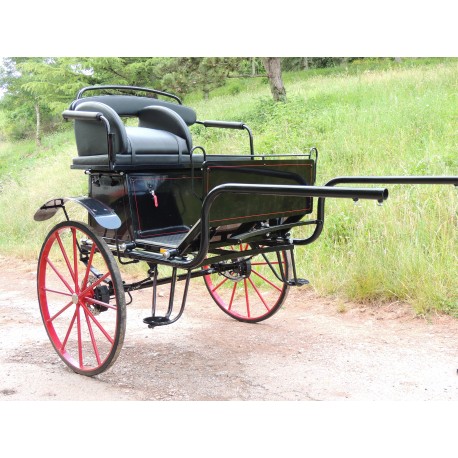 Voiture 2 roues - Gig