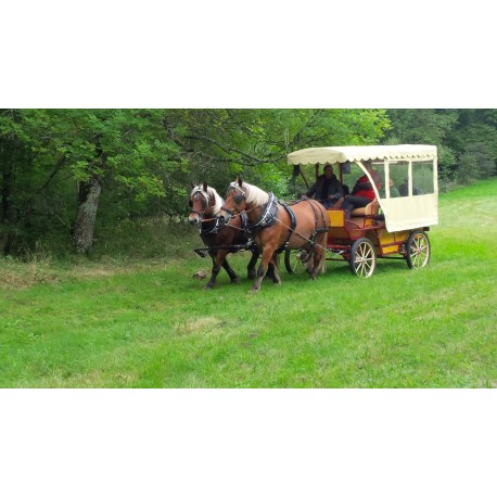 Voiture hippomobile 13 places