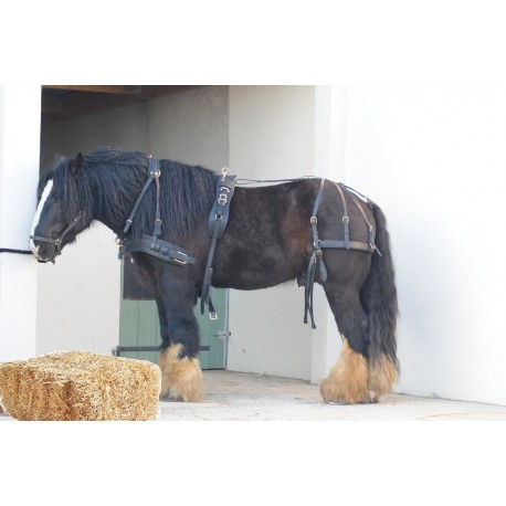 Harnais marathon saumur Pro Boucle Laiton