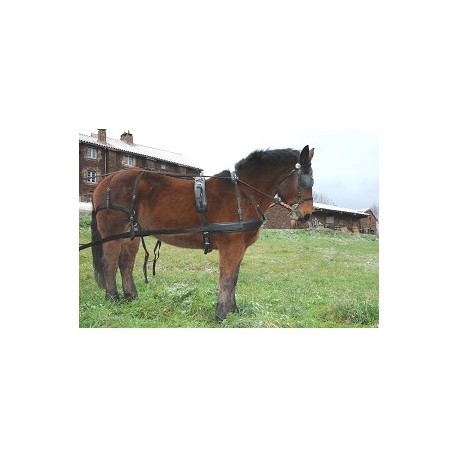 Harnais easytech biothane nylon transformable