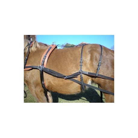 Kit de transformation pour harnais easytech biothane nylon