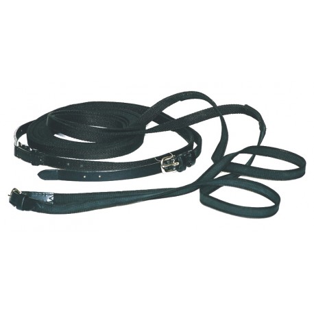 Guides de compétition