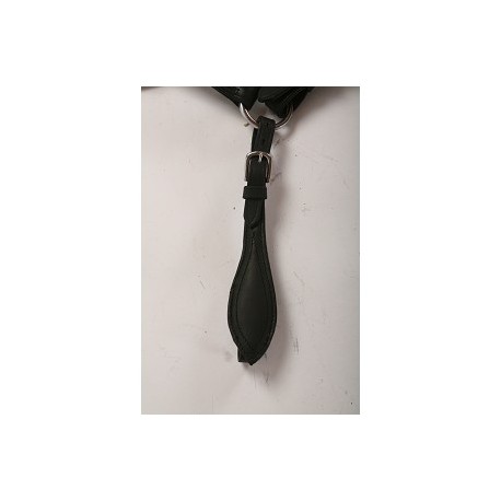 Porte traits court avec poire