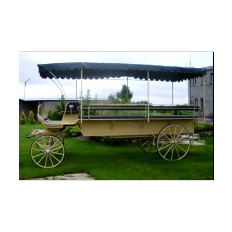 Voiture hippomobile adaptée aux personnes en situation de handicap H10