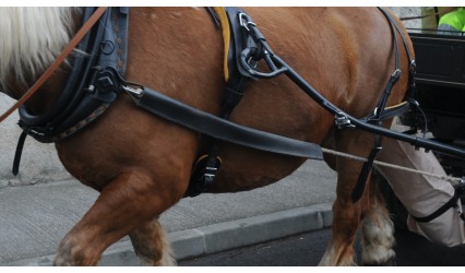 Fourreau d'épaule pour trait