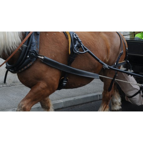 Fourreau d'épaule pour trait