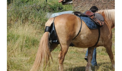 Sac à crottin d'équitation