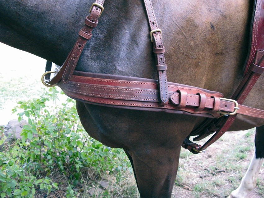 Pièce De Joue En Cuir Pour Poney (taille Small) - Neuve